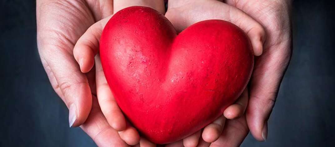 Conoce mejor tus marcas solidarias: Dr. brandt skincare, Apivita, StriVectin