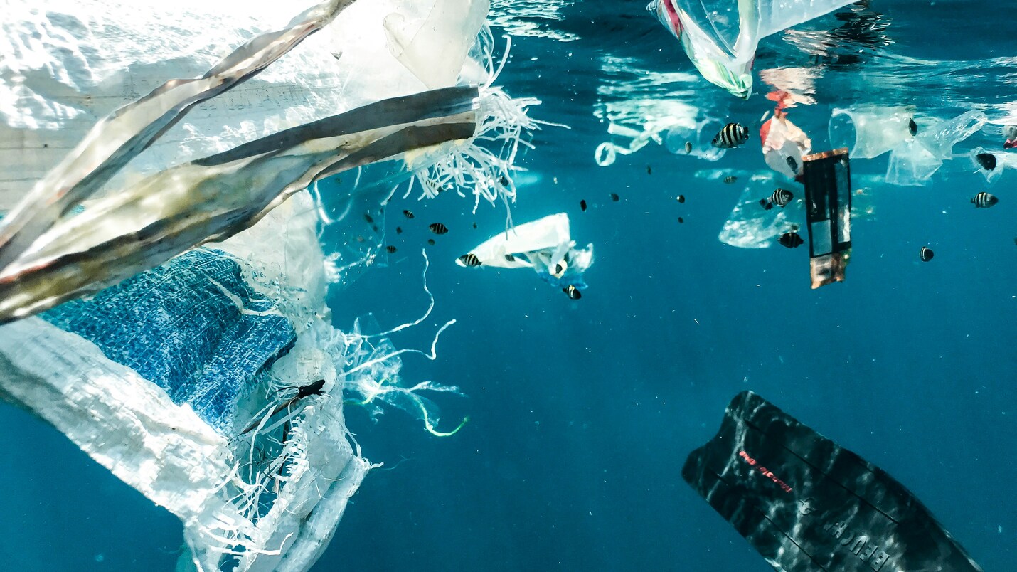 Dia mundial de los oceanos