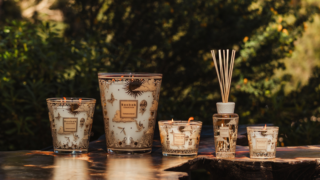 Tomorrowland Baobab Collection