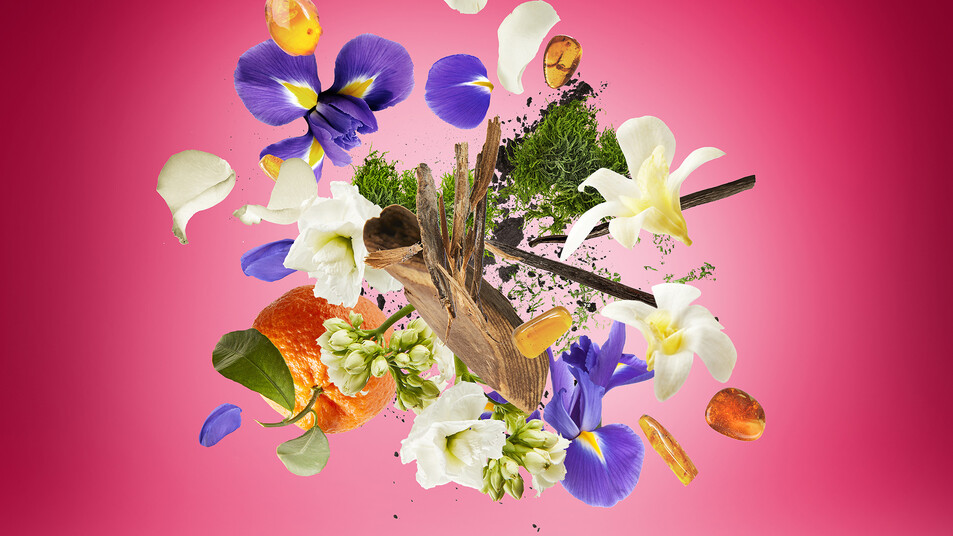 ingredientes de Coro, de Xerjoff