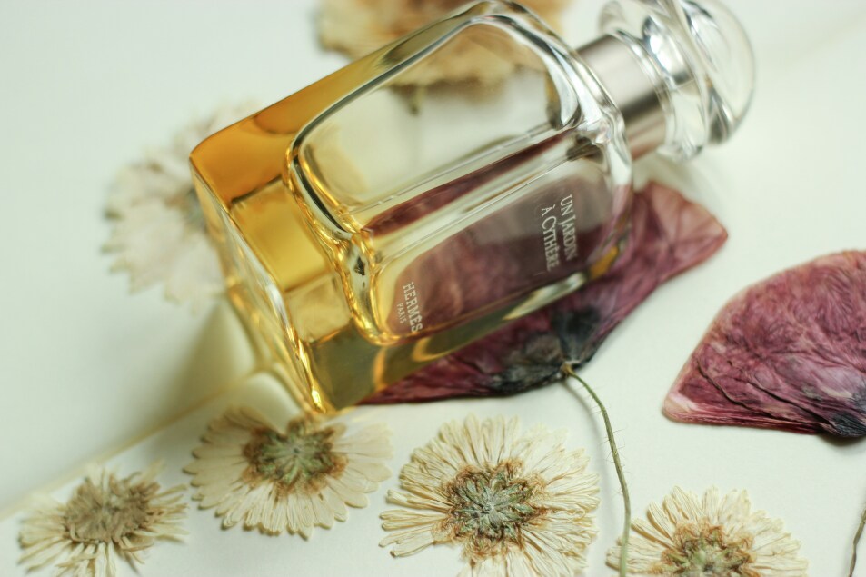  Svitlanka Dlinnaya - Unsplash