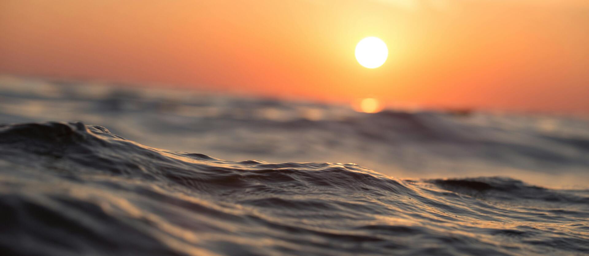 Protectores solares respetuosos oceano