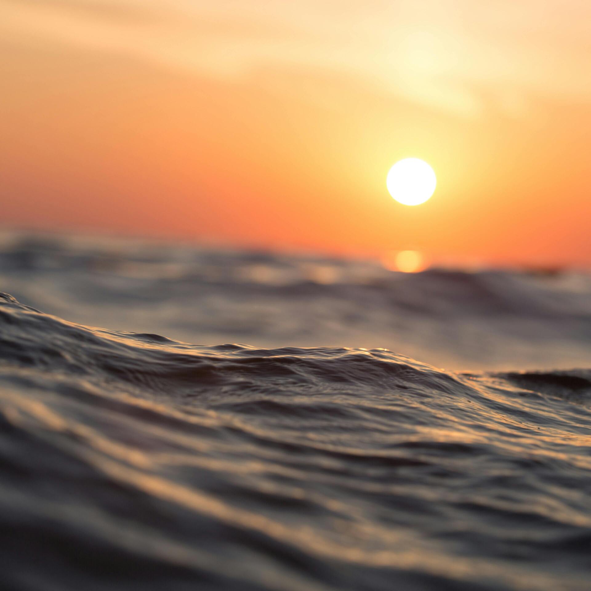 Protectores solares respetuosos oceano